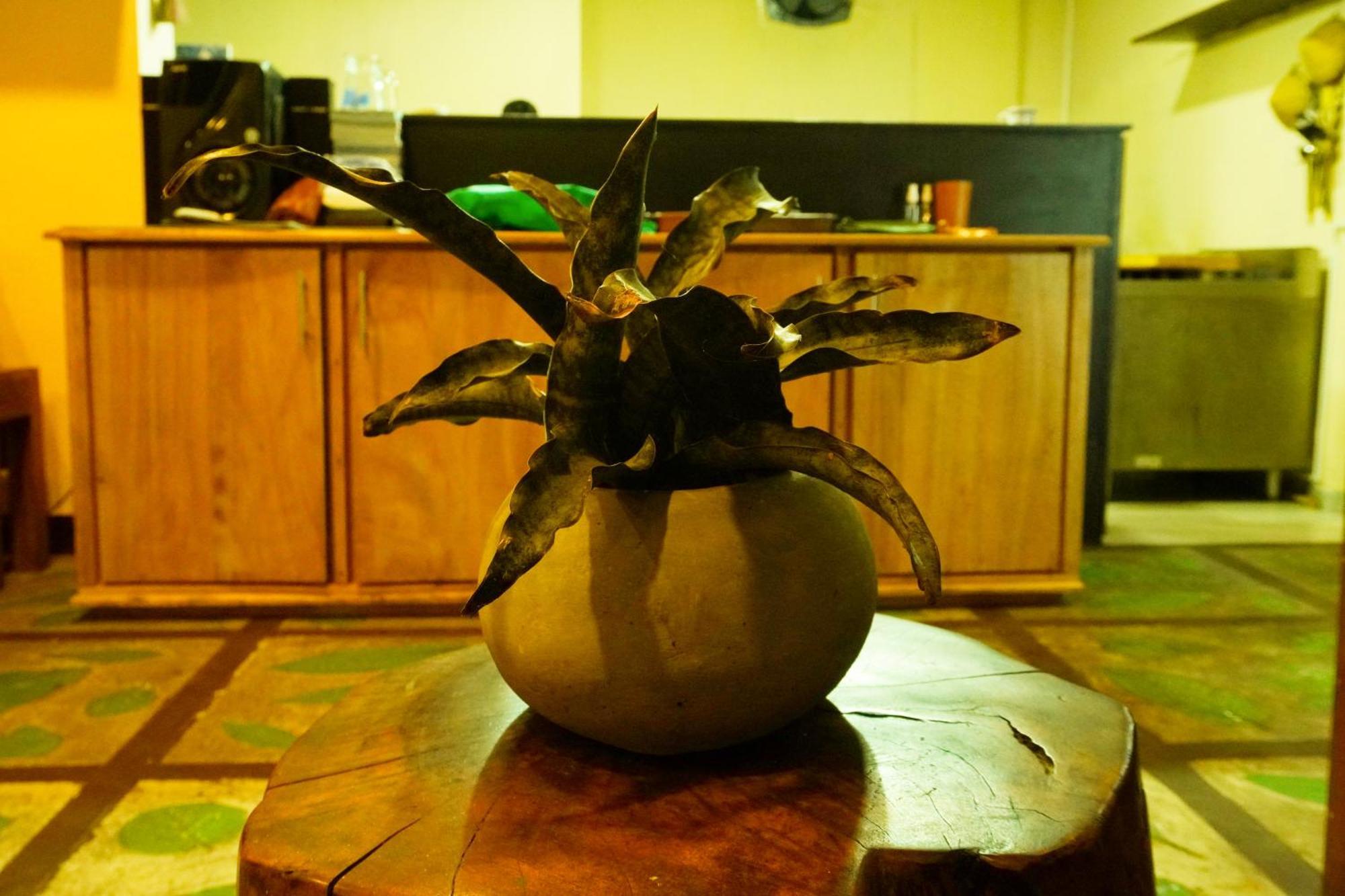 King Lobster Summer House Weligama Exterior foto